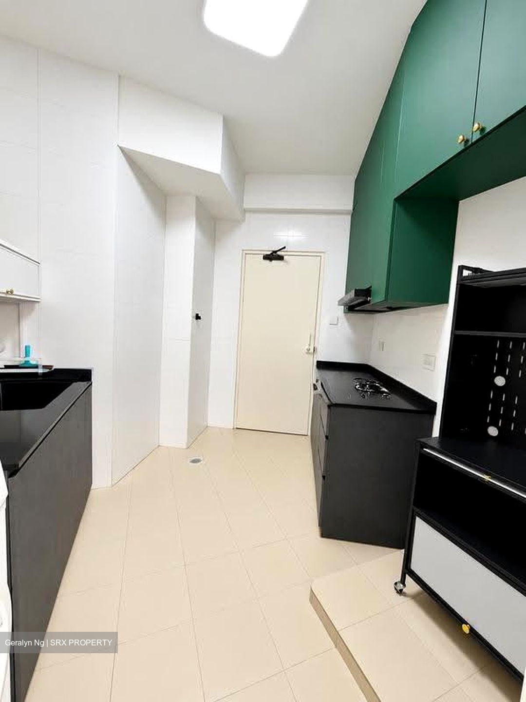 Bayshore Park (D16), Condominium #615986271
